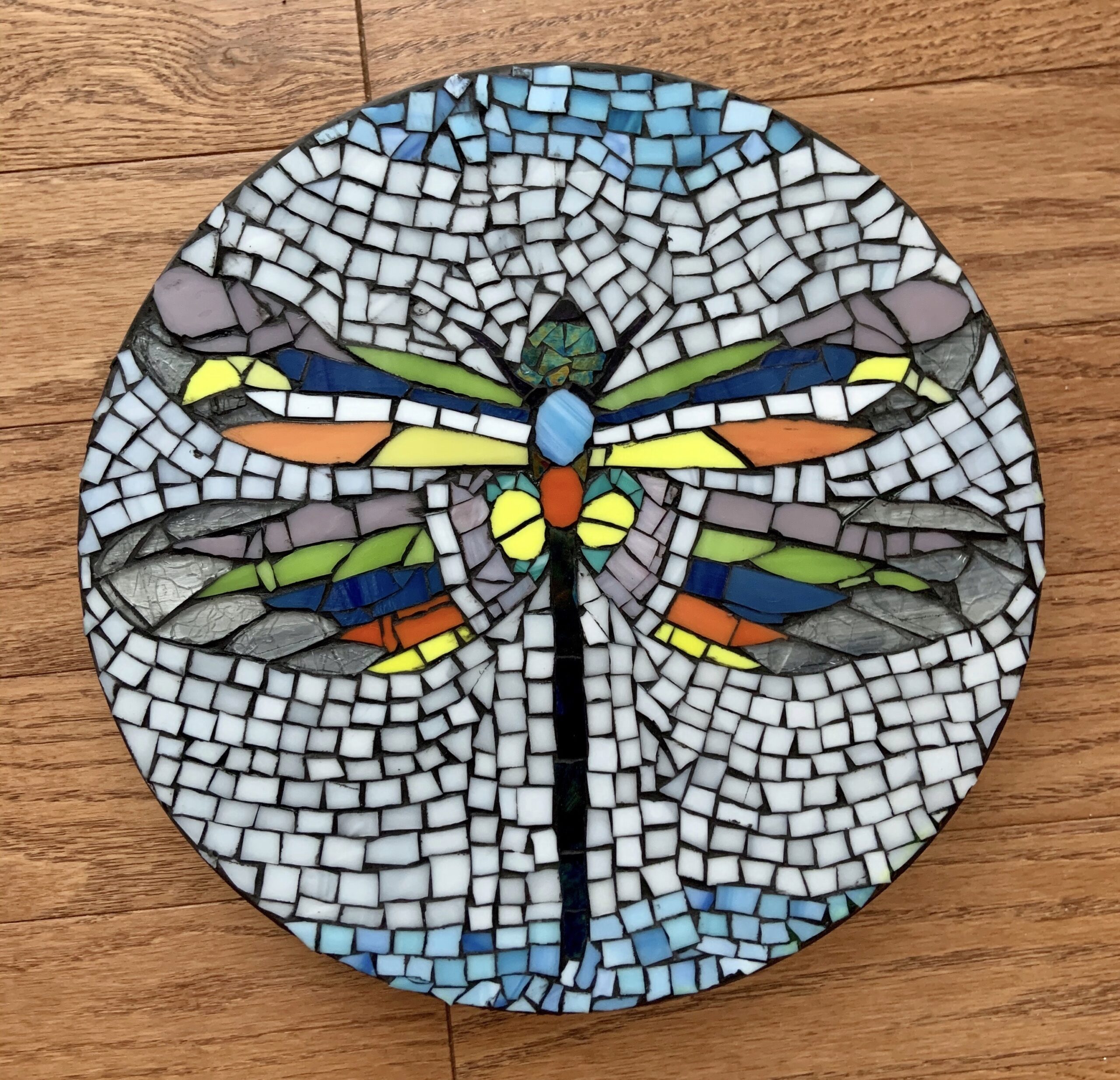 Dragonfly-stepping-stone-Carolyn-2019-scaled